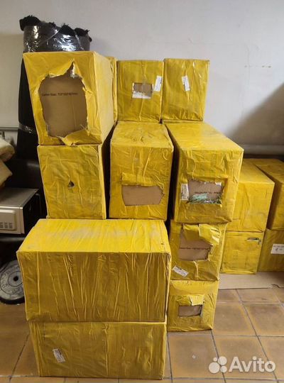 Bitmain Antminer S21 200