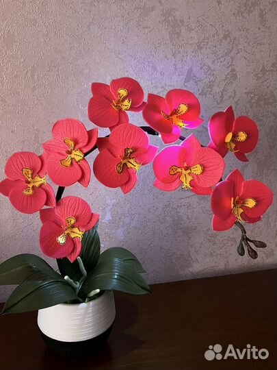Орхидеи