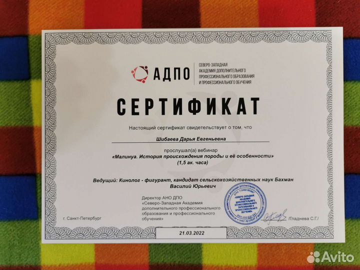 Услуги кинолога