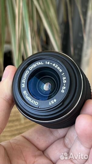 Объектив Olympus M.zuiko digital ED 14-42mm