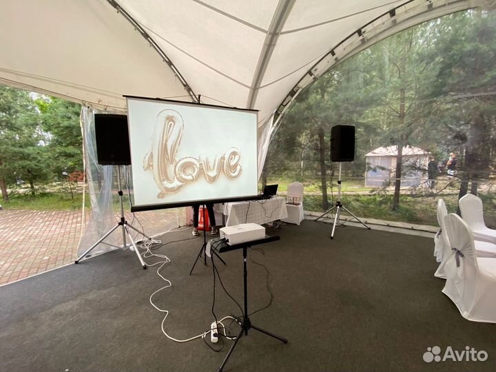 Аренда проектора/телевизора