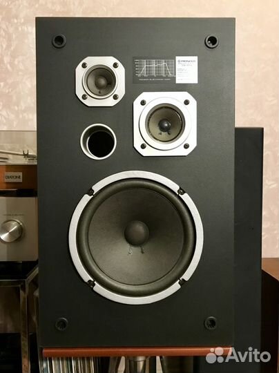 Pioneer cs 305 store speaker