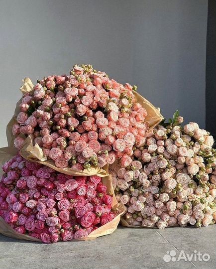 Розы кустовые премиум