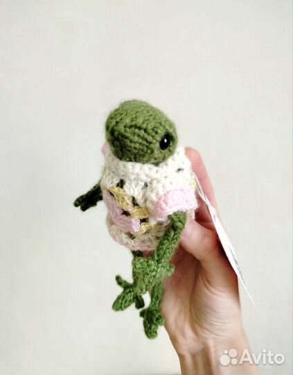 Лягушка Pinterest