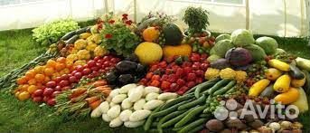 Работа вахтой В тепличные комплексы