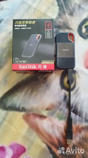 Внешний SSD SanDisk Extreme E61 4Тb nvme. Новый