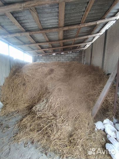 Продам сено