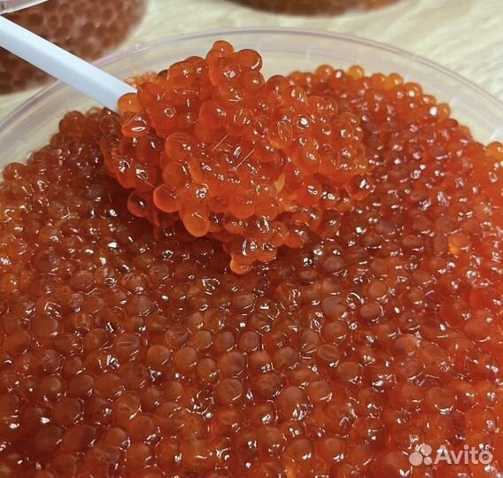 Красная икра оптом
