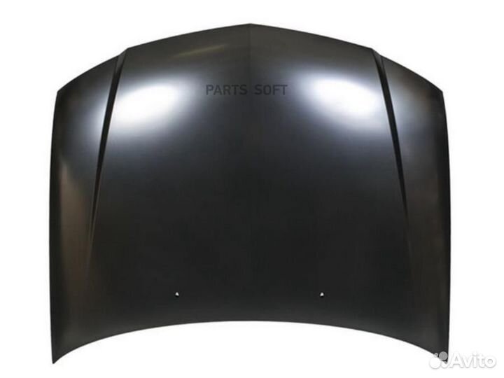 TYG DS20110A Капот nissan: almera classic 07