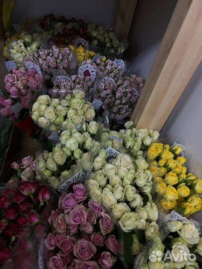 Цветы Оптом