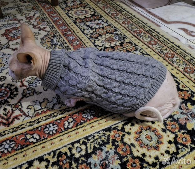 Костюм для животных