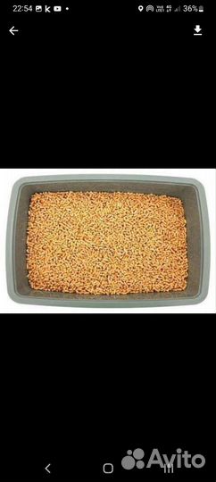 Наполнитель древесный