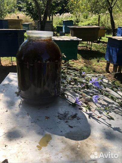 Мед разнотравье