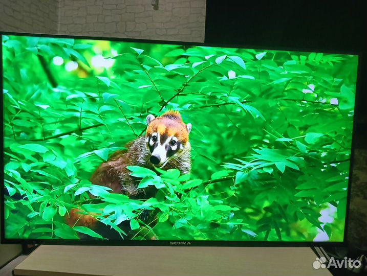 Телевизор Supra LC50ST910FL+Гарантия