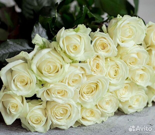 Розы высокие Доставка цветов