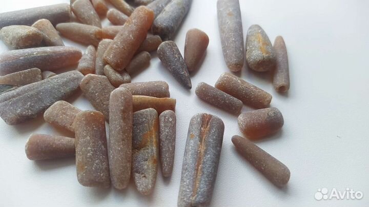 Белемниты чертовы пальцы