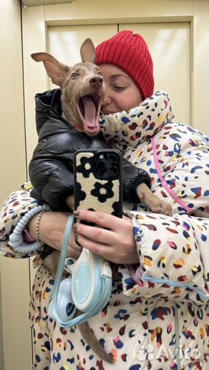 Пуховик на пуху oversaize