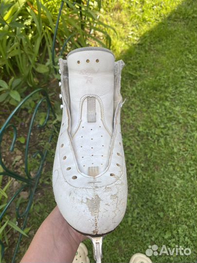 Коньки Risport royal pro