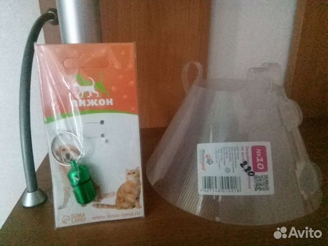 Адресник и защитный воротник для животных