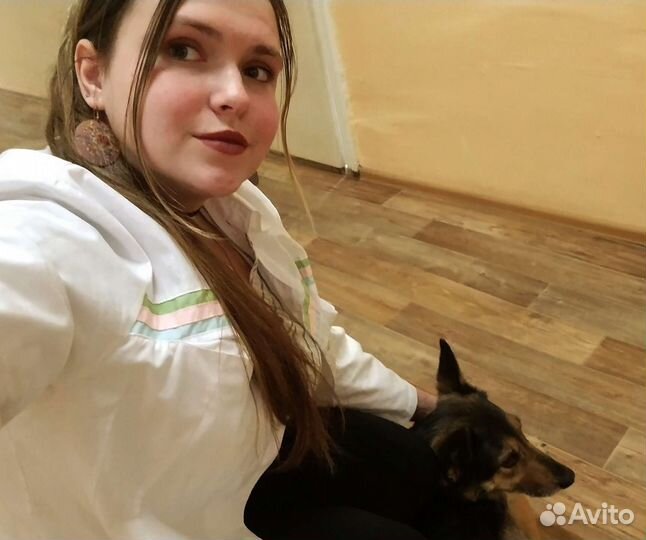 Выгул собак