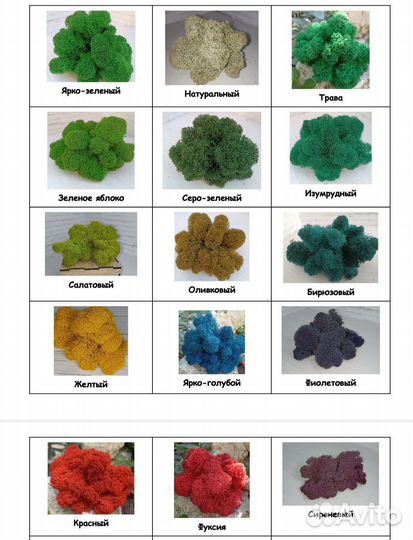 Стабилизированный мох