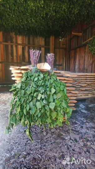 Березовые веники для бани