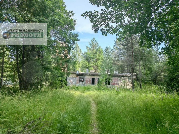 Участок 4 га (СНТ, ДНП)