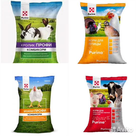 Корма для животных purina
