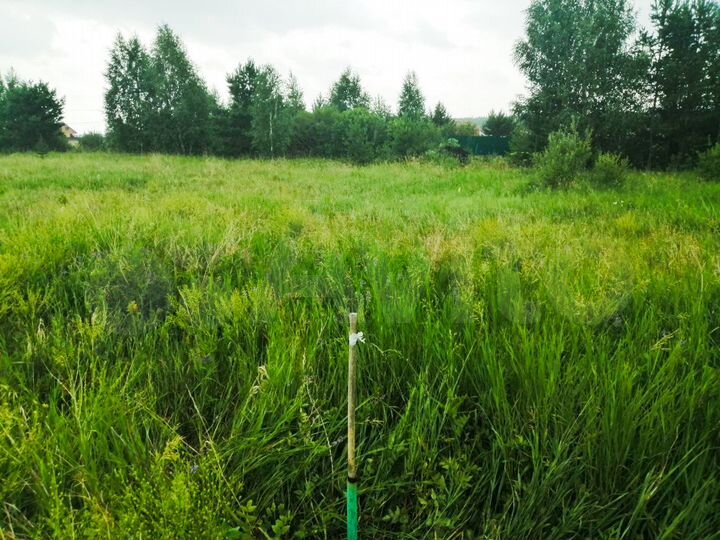 Участок 16,5 сот. (ИЖС)