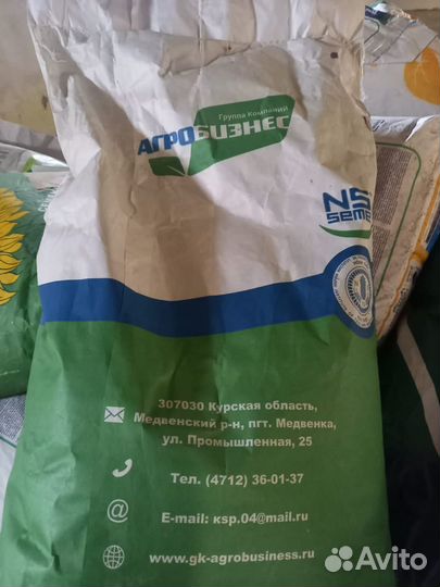 Семена подсолнечника гибрид