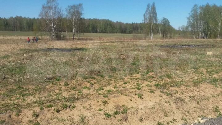 Участок 12 сот. (СНТ, ДНП)