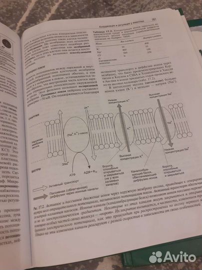 Зарубежный учебник