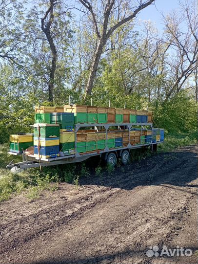 Прицеп для перевозки пчел, прицеп теспа