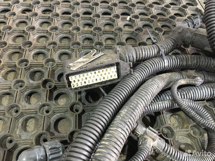 41242076 Проводка системы AdBlue Iveco Stralis