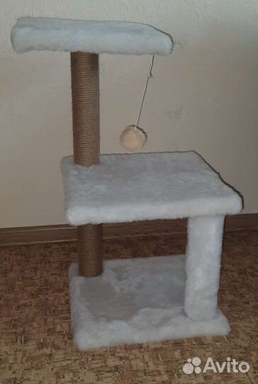 Когтеточка