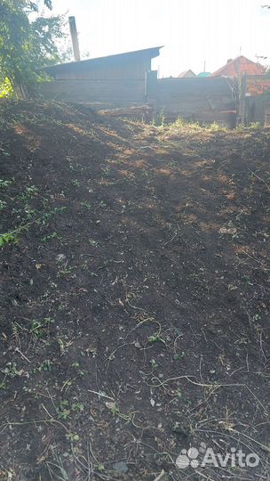 Конский навоз