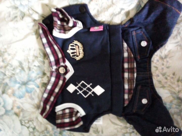 Одежда для собак