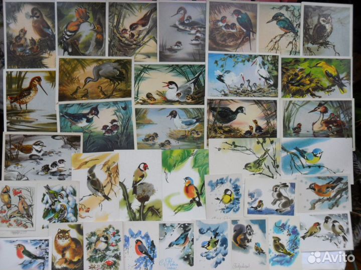 Звери, птицы, Исаков, Гамбургер, Чарушин, Ватагин