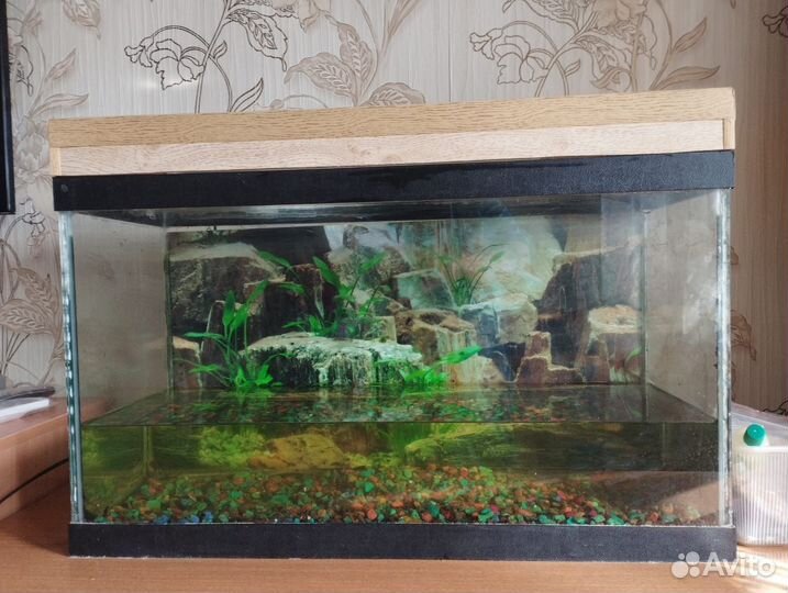 Аквариум