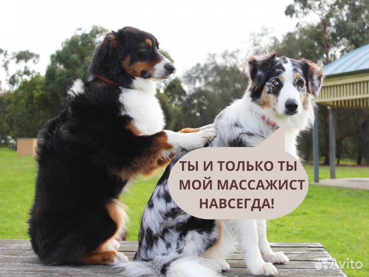 Продвижение в Телеграм,соцсетях, Распаковка, Кейсы