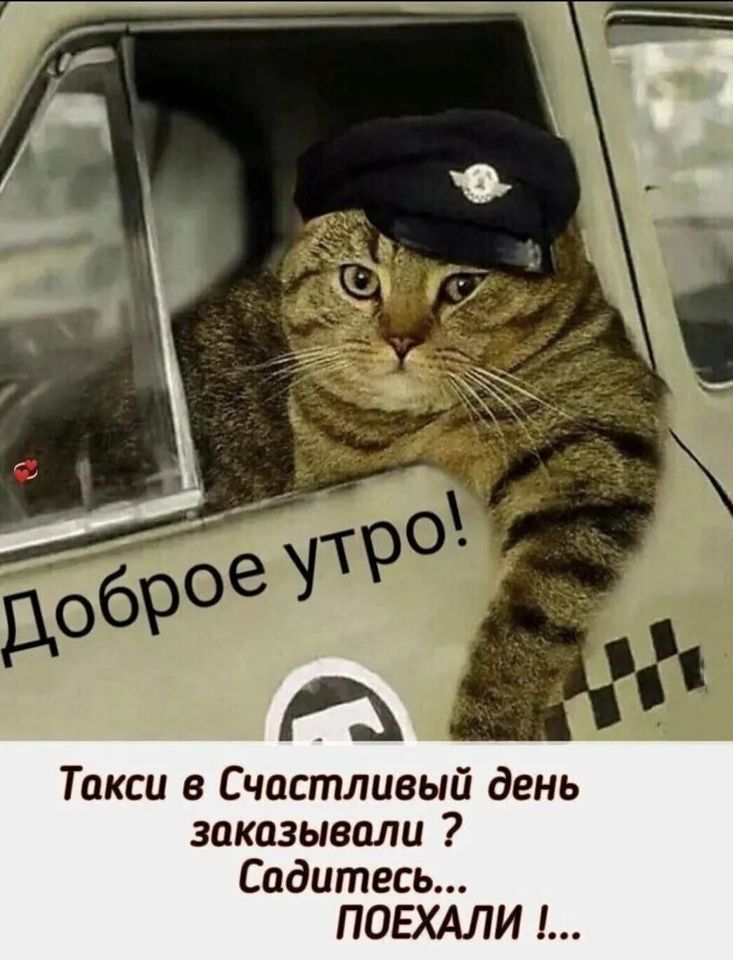 Доброе утро таксисты картинки прикольные Работа в Яндекс Такси 3 - вакансии и отзывы о работадателе Яндекс Такси 3 на Ави