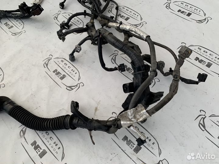 Проводка двс infiniti Q50 V37 2013-2019