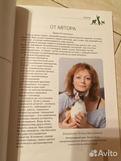 Брошюры Кошки Собаки