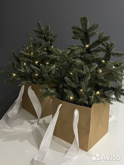 Композиция букет из нобилиса