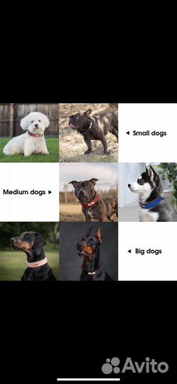 Ошейник с гравир из эко кожа для собак, кошек