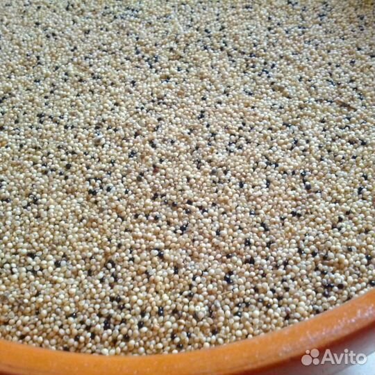 Амарант (семена )