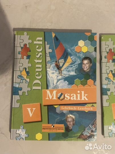 Mosaik V, 5 класс ученик и тетрадь. Новые