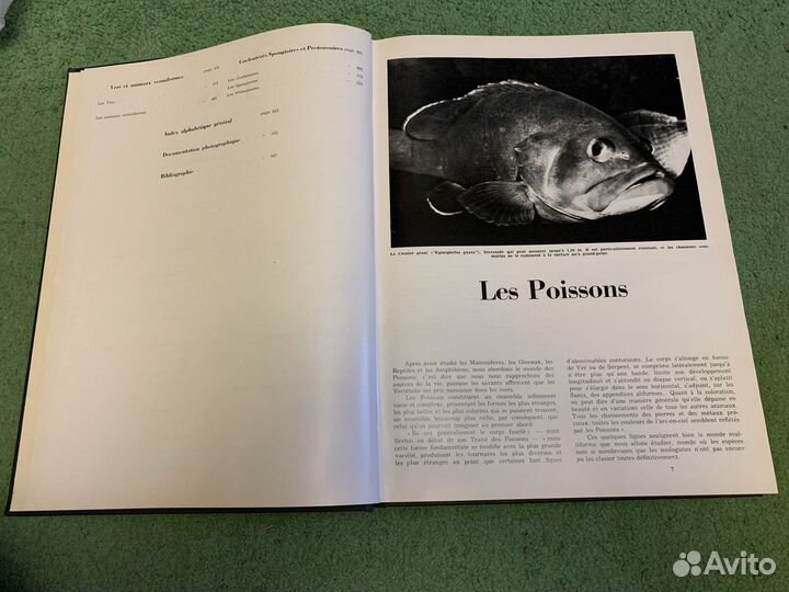 Энциклопедия Мира животных.Том 3.На Французском