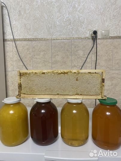 Мед лечебный