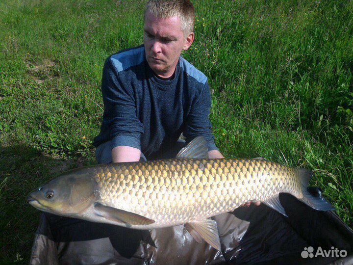 База Отдыха 